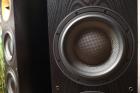 2 x Bowers Wilkins B W 803s Lautsprecher