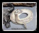 Königspython Python regius Abgabeliste